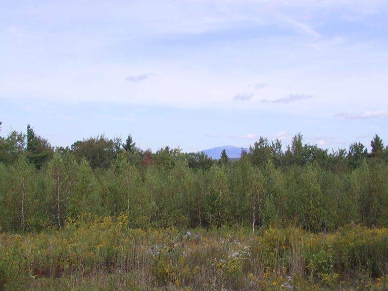 Forests, fields, and the view of Mount Monadnock Forests, fields, and the view of Mount Monadnock