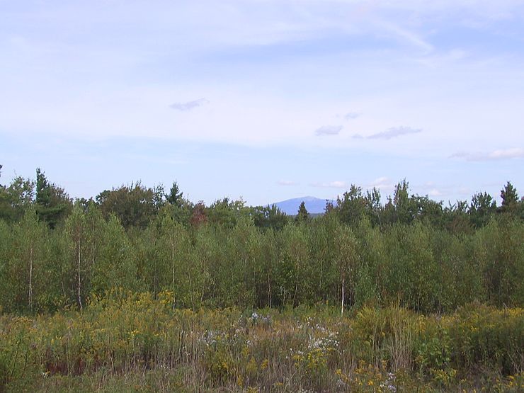 Forests, fields, and the view of Mount Monadnock
