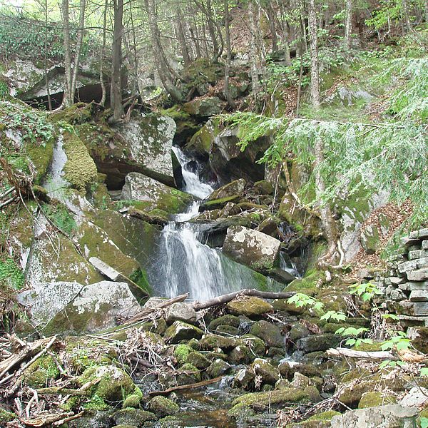 Washbowl Waterfalls at Arthur Iversen Conservation Area in Warwick
