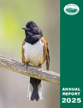 Annual Report 2025