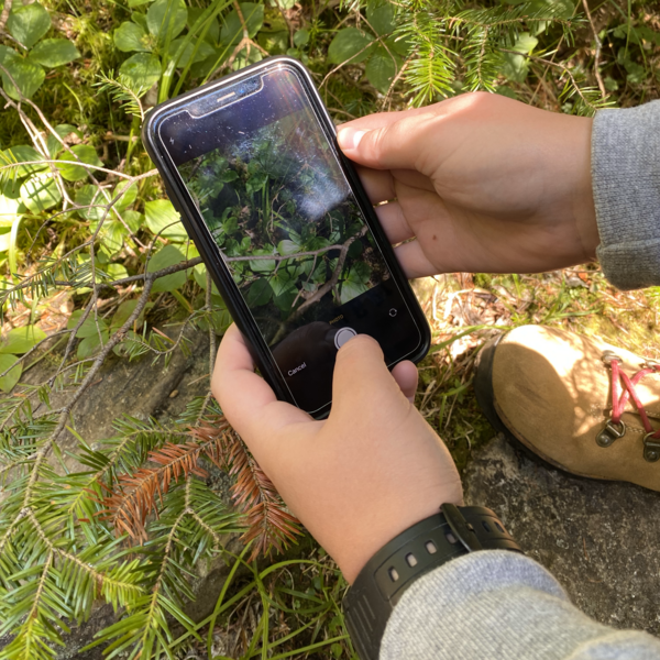 "Walk and Tech - Seek" with Athol Public Library