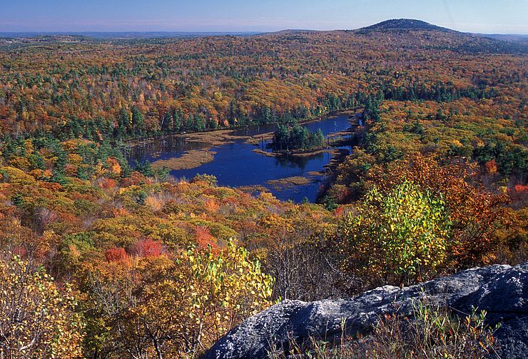 The view from Mount Watatic in the fall