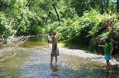 sawmill river