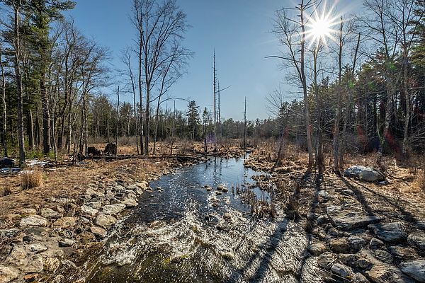 Robbins Pond, in Rindge and Winchendon