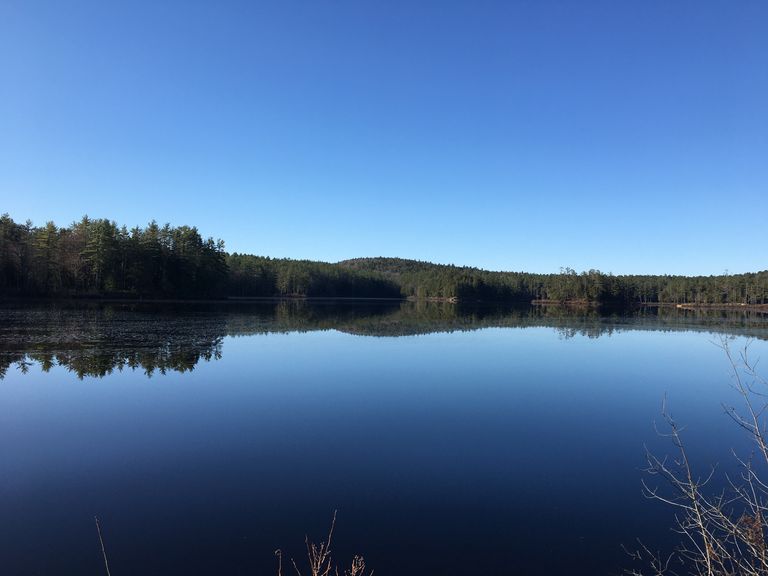 View of Tully Lake from the shore. View of Tully Lake from the shore.