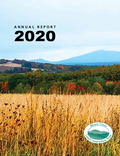 Annual Report 2020