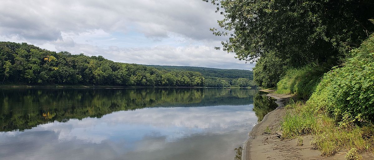 View from the shore