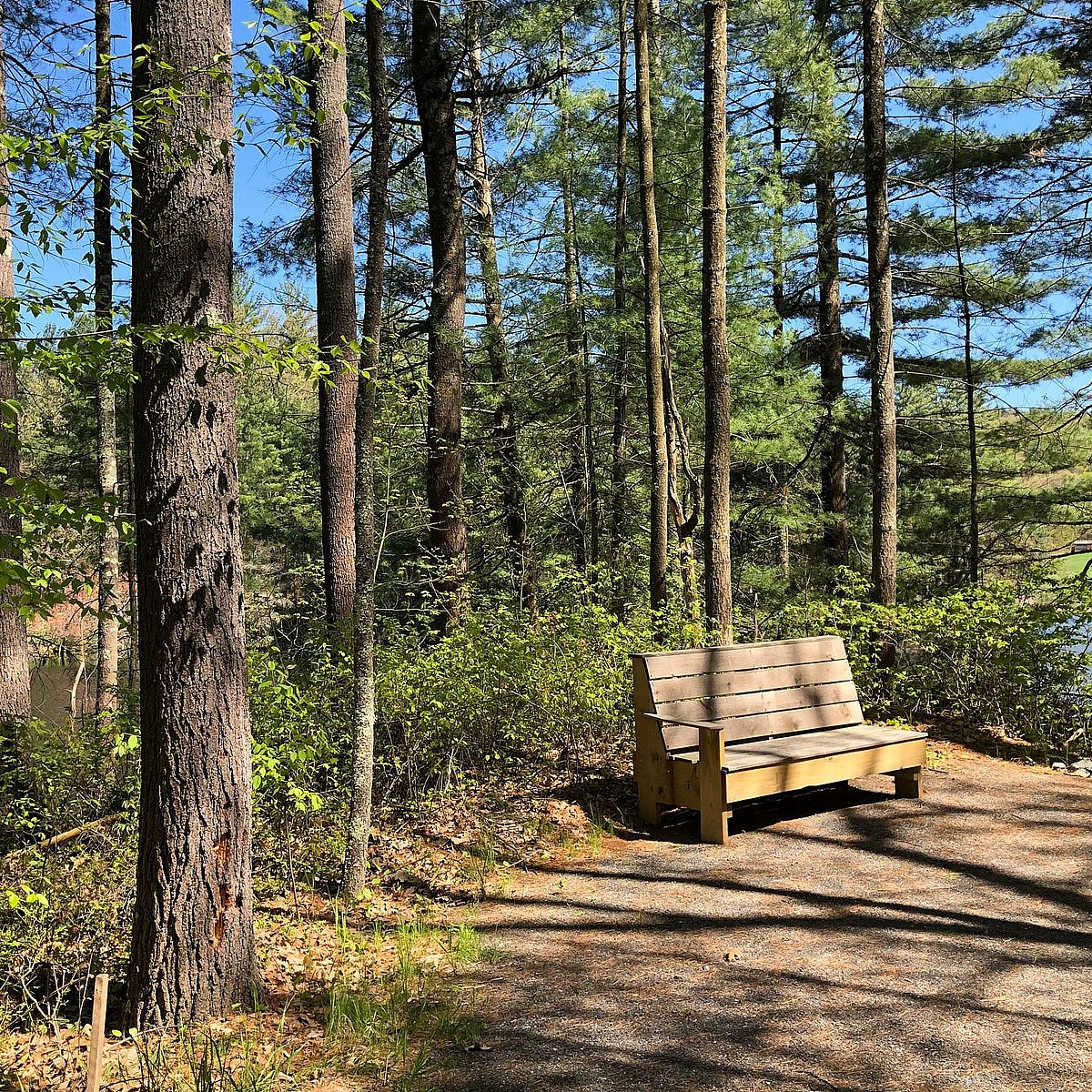 Bench on trail at Alderbrook Meadows Wildlife Sanctuary in Northfield