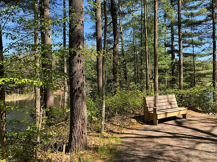 Bench on trail - Credit Saw-whet Photography