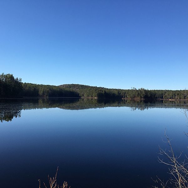 still waters at Lake Vento