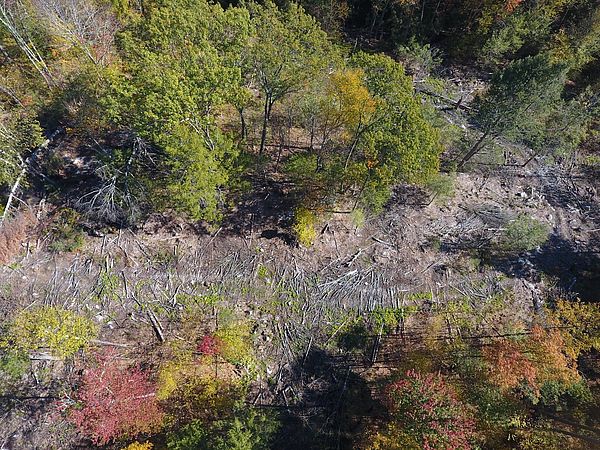 Aerial view of the recently completed logging at Song Memorial Forest in Warwick.