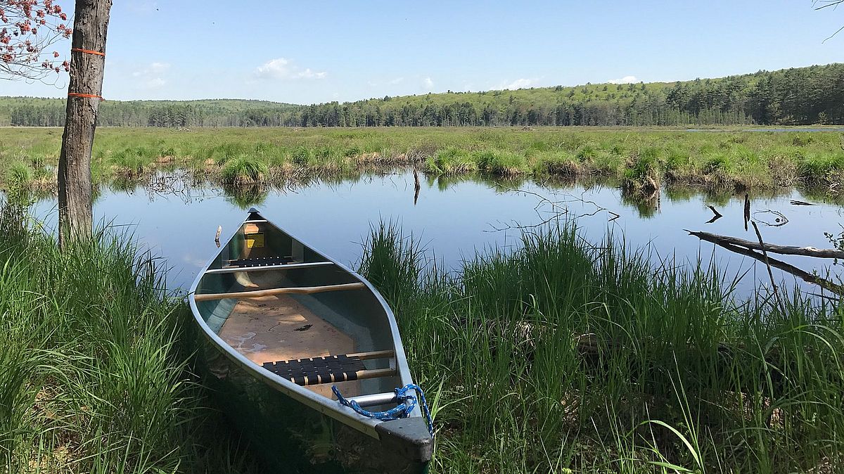 Eagle Reserve canoe launch