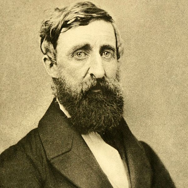 Portrait of Henry D. Thoreau