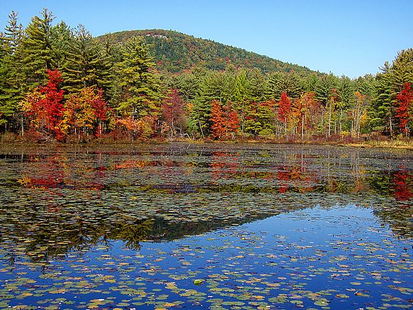 Tully Mountain by David Brothers