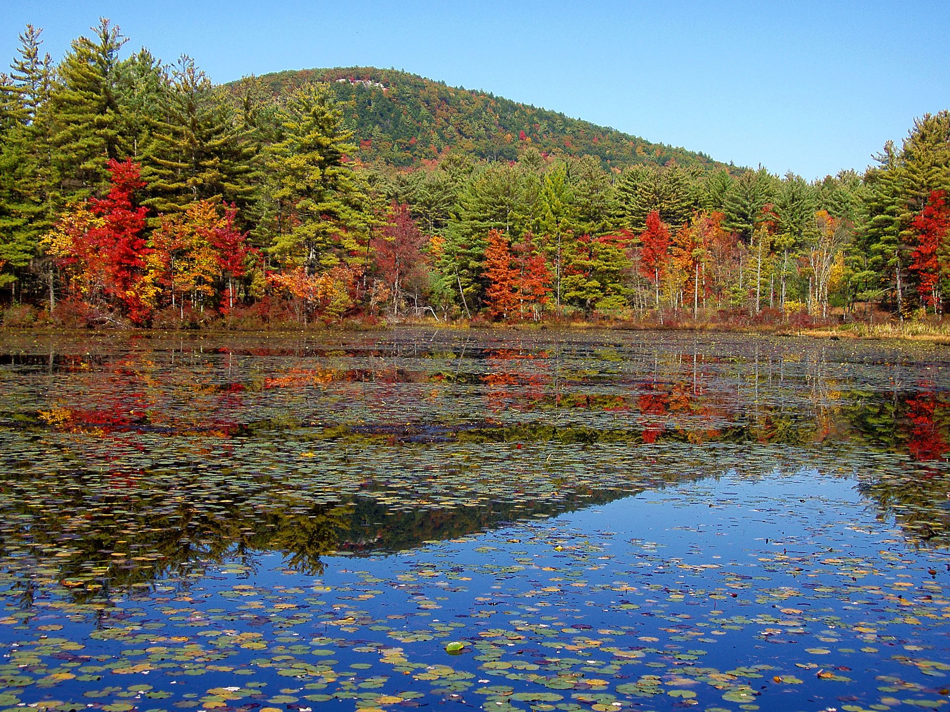 Tully Trail Mount Grace