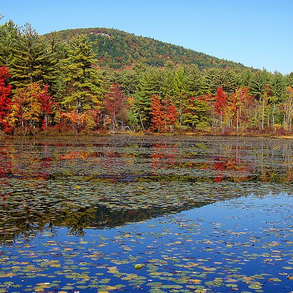 Tully Mountain by David Brothers