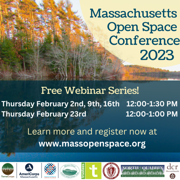 Open Space Virtual Conference Series