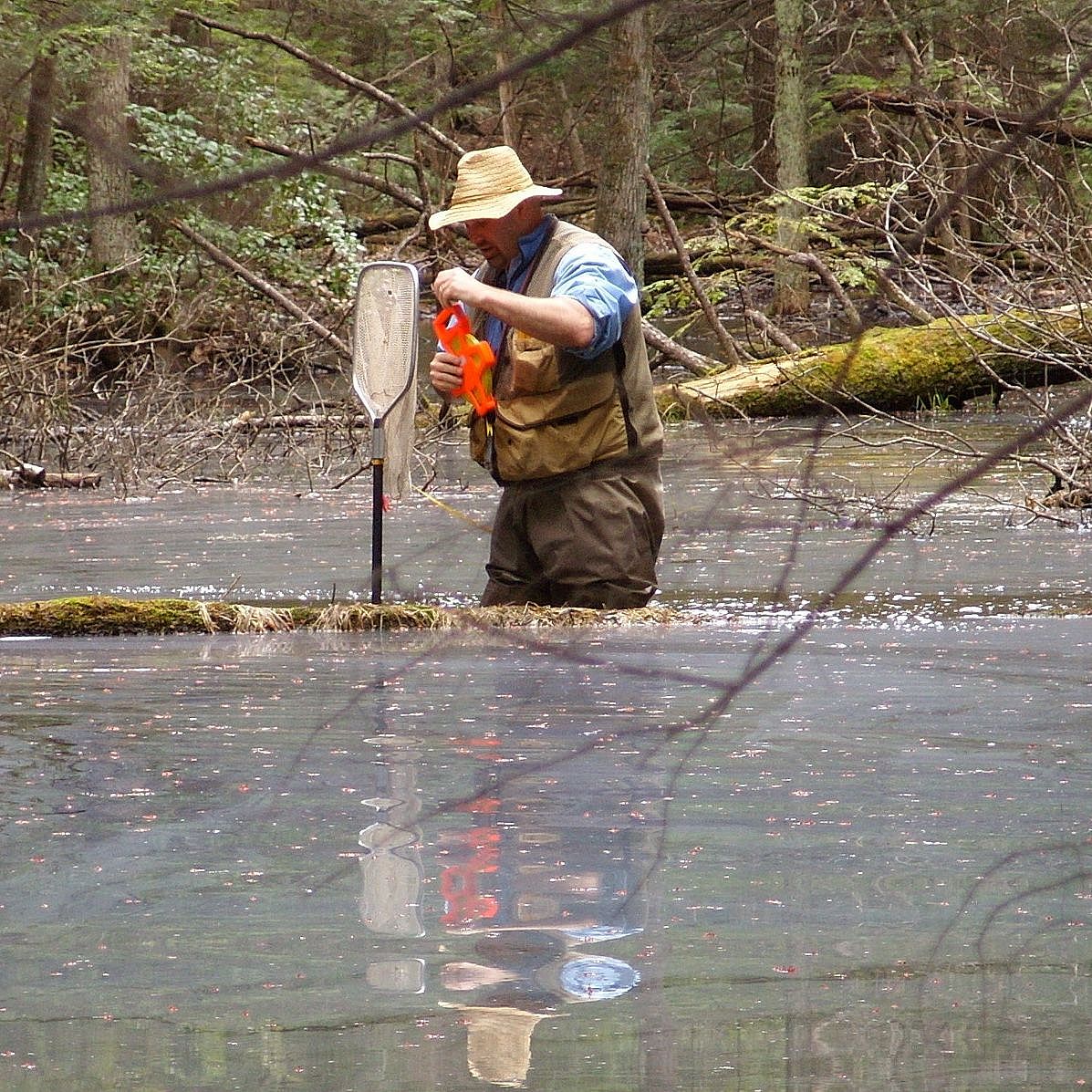 Man monitoring vernal pool