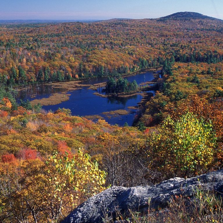 Fall view from Mount Watatic