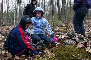 Fairy House #1