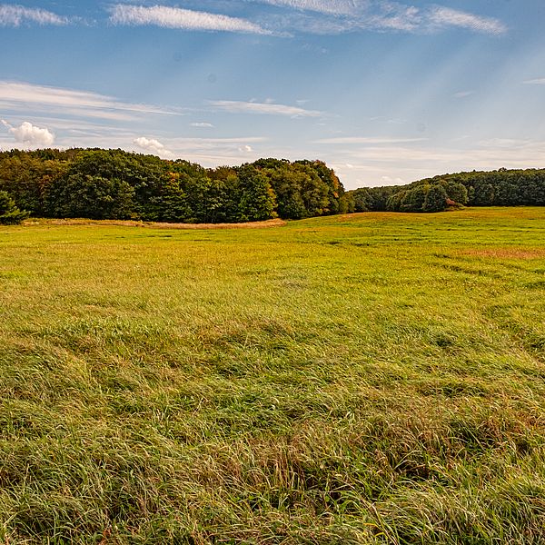 The Norcross Hill Wildlife Management Area in Templeton