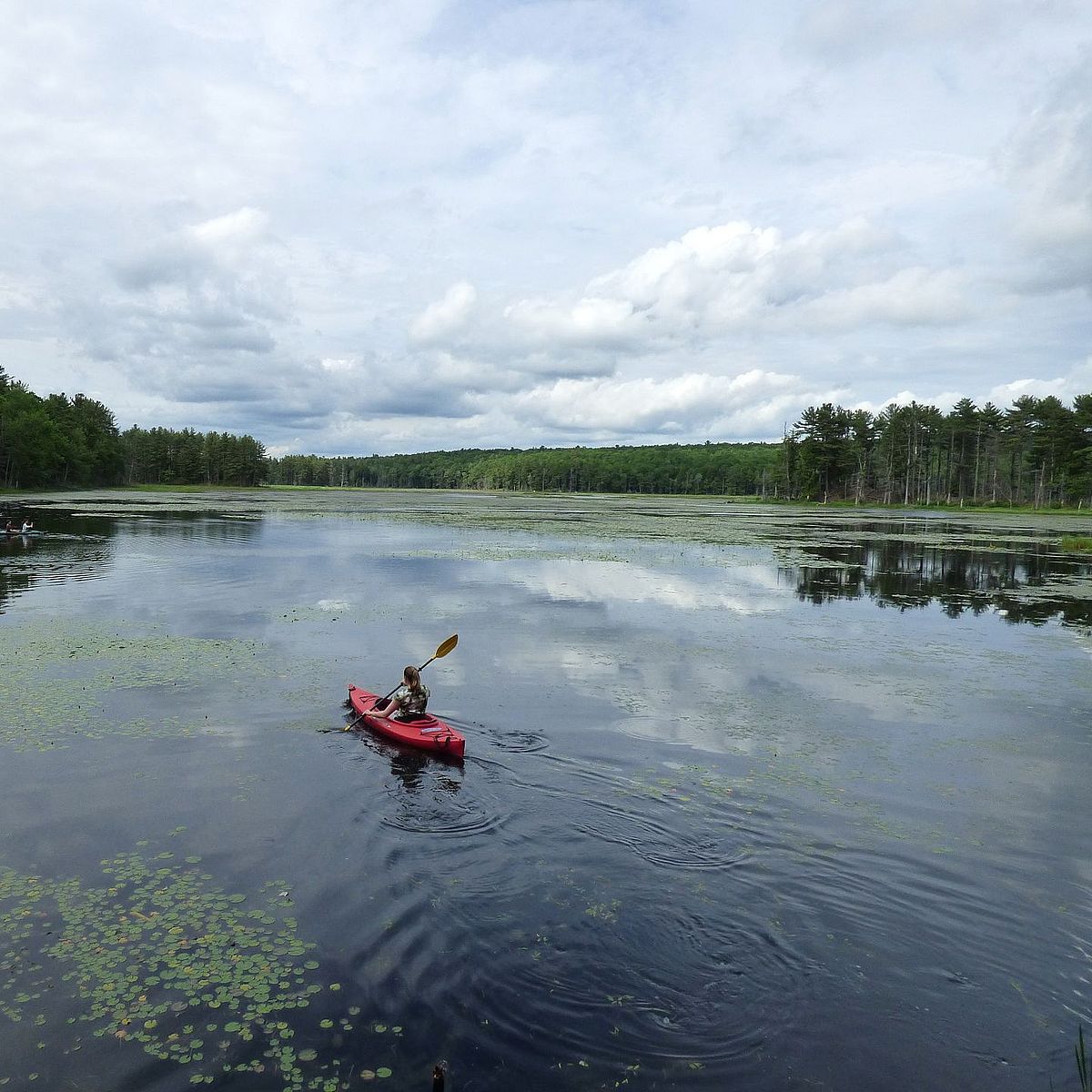 Start National Water Quality Month with a Splash - Mount Grace