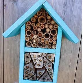 Native Bee House Making Workshop