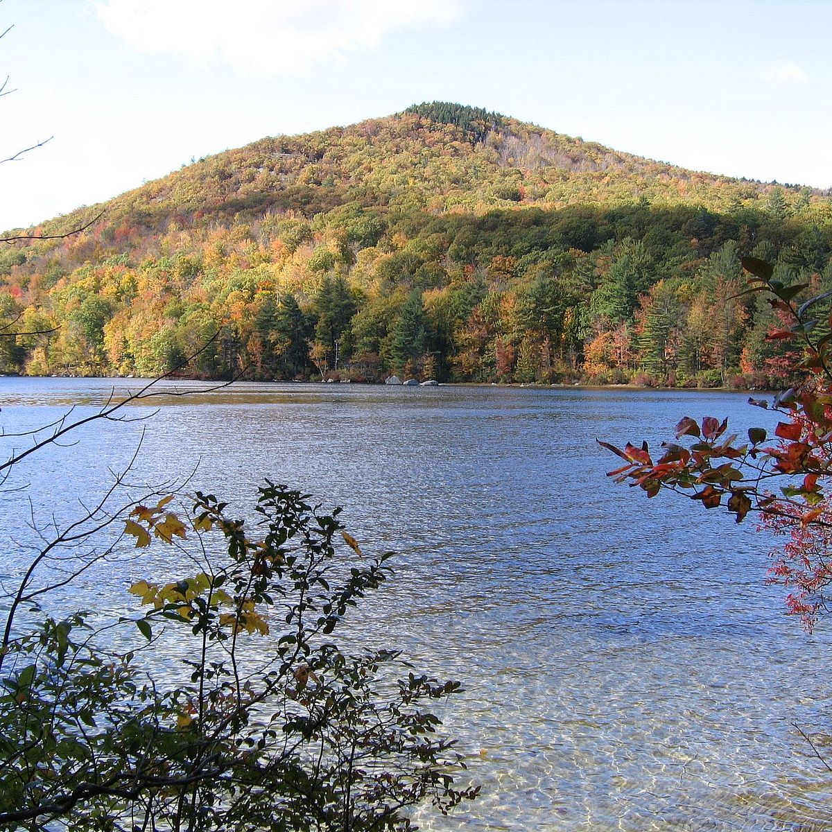 View in the fall