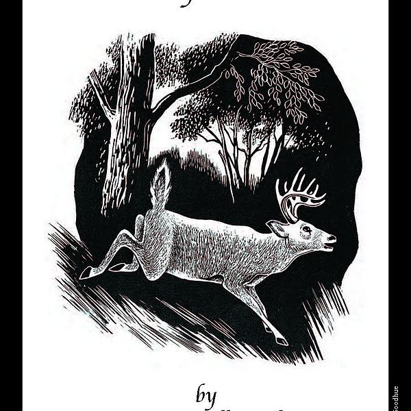 Illustration of Deer by Charles Goodhue