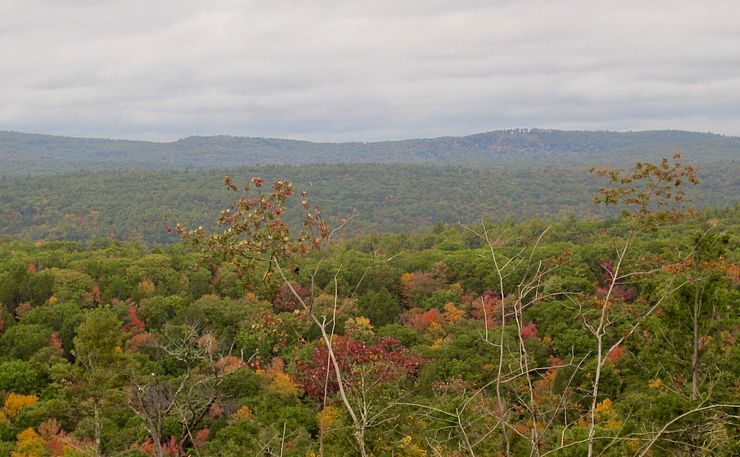 Littlewood view during the fall