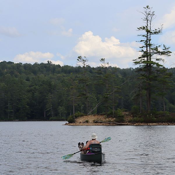 Canoer and their dog on Lake Vento