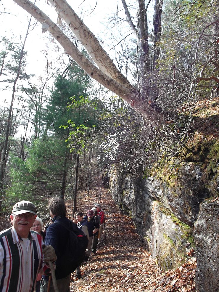 Bedrock outcrops along hiking trail at Erving Town Forest