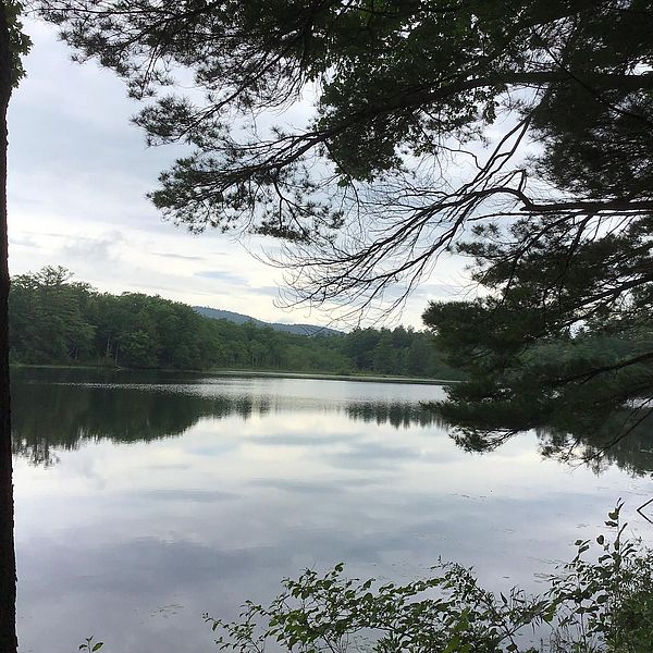 Hastings Pond in Warwick