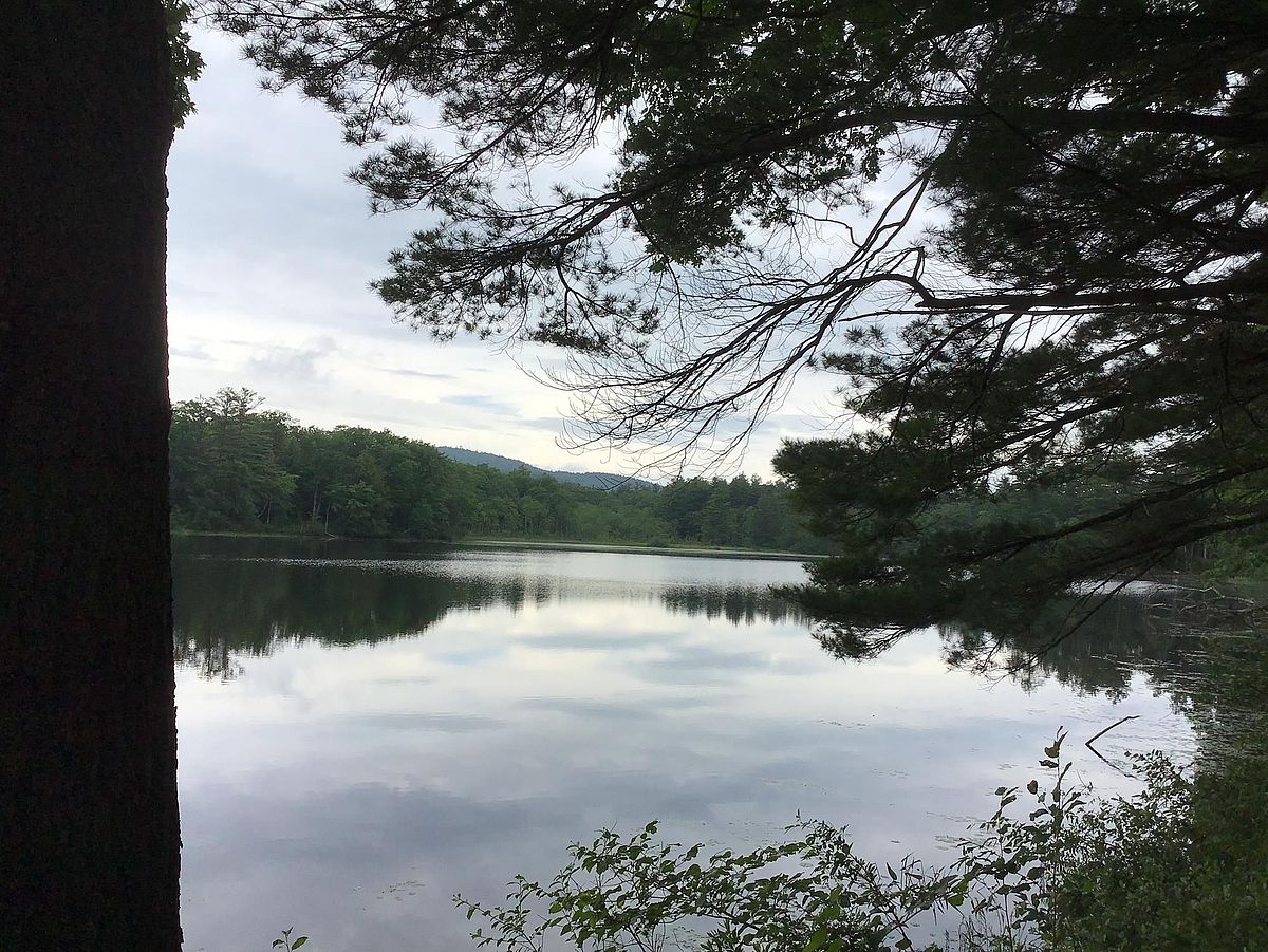 One Step Closer to Connectivity in Warwick Renna and Delfausse CRs