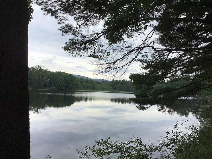 Hastings Pond in Warwick