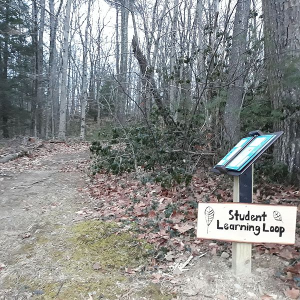 Entrance to Student Learning Loop at Dexter Park Elementary School