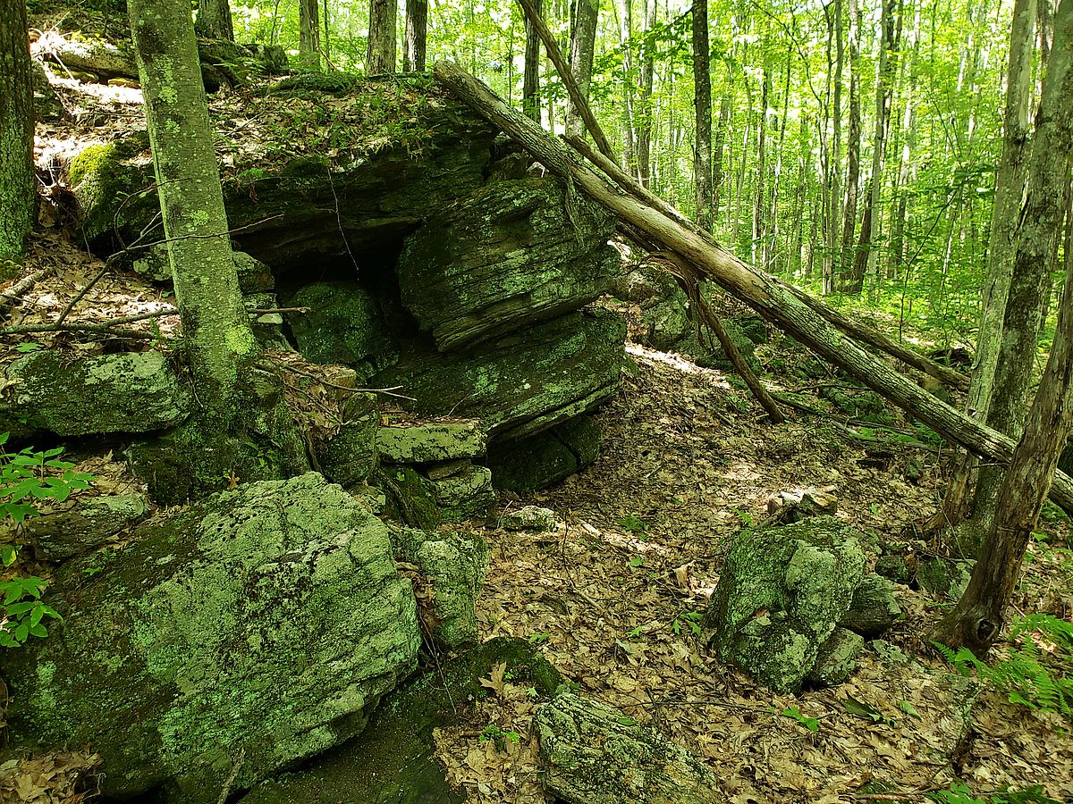 A rocky outcropping.