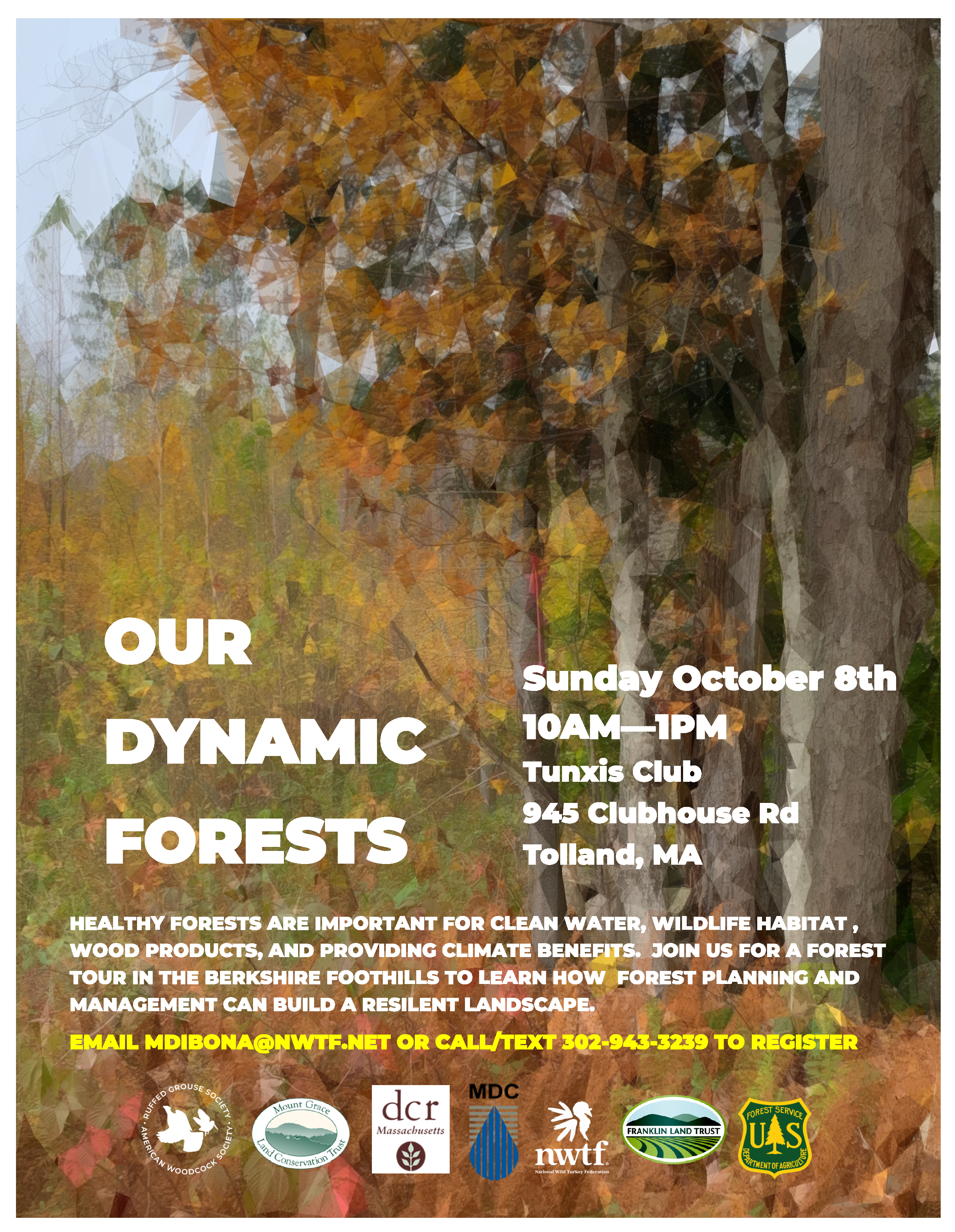 Our Dynamic Forests - Walking Tour