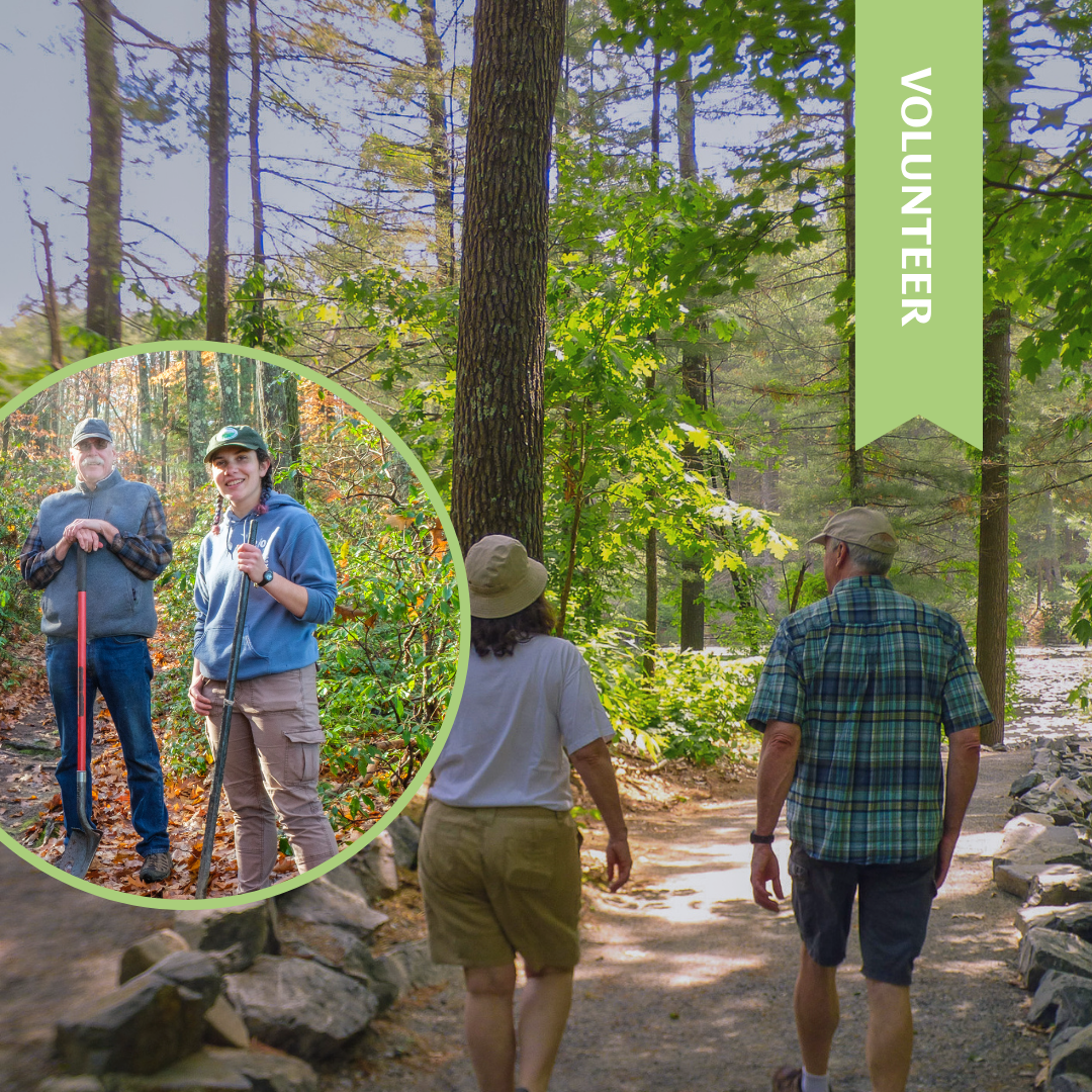 Alderbrook Meadows Volunteer Workday