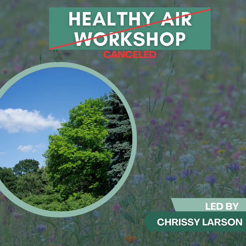Healthy Air Workshop - CANCELED