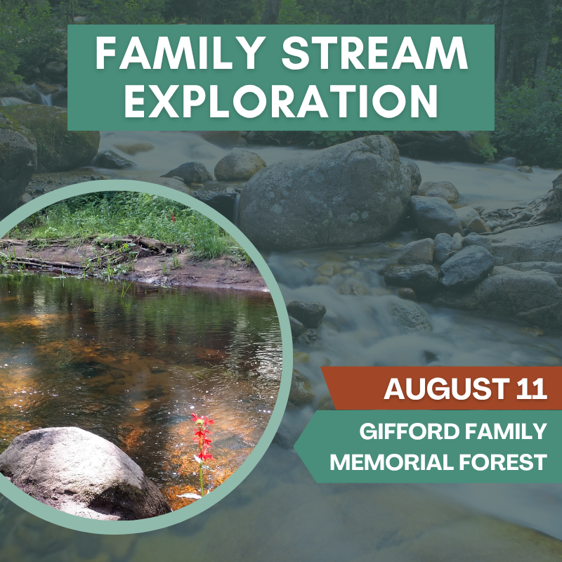 Family Stream Exploration