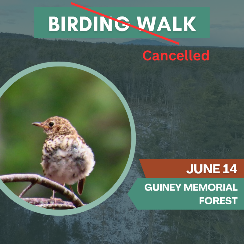 Birding Walk