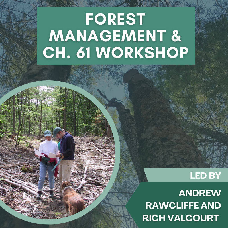 Forest Management & Ch 61 Workshop