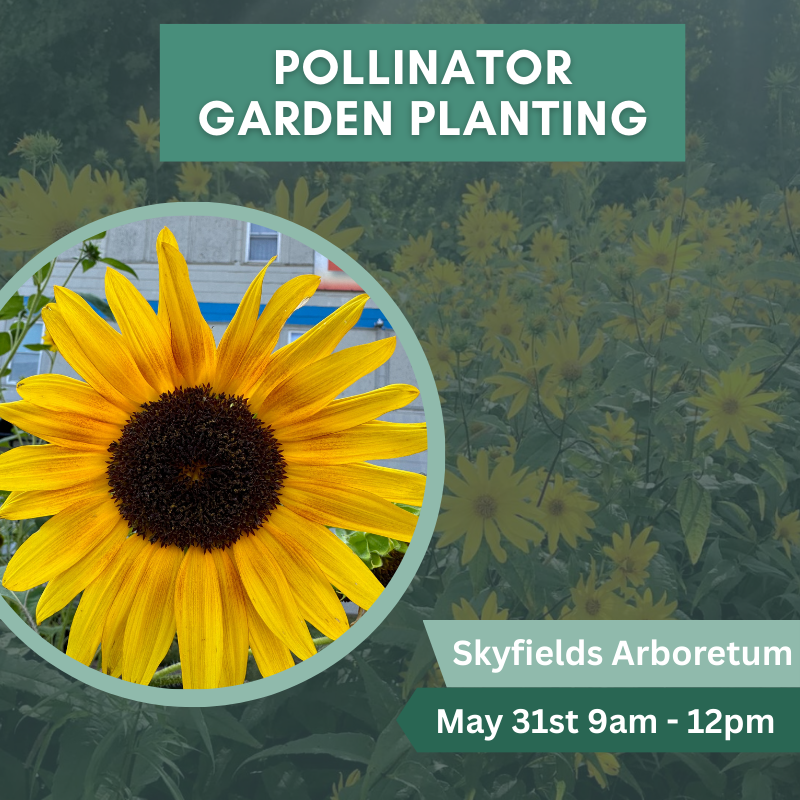 Pollinator Garden Planting Event