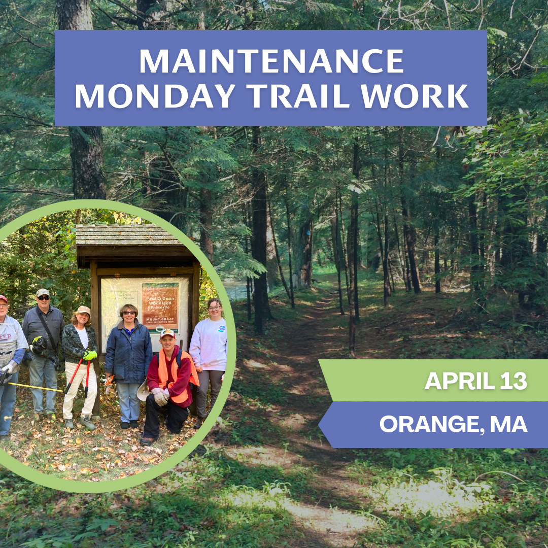 Maintenance Monday at Gifford Memorial Forest