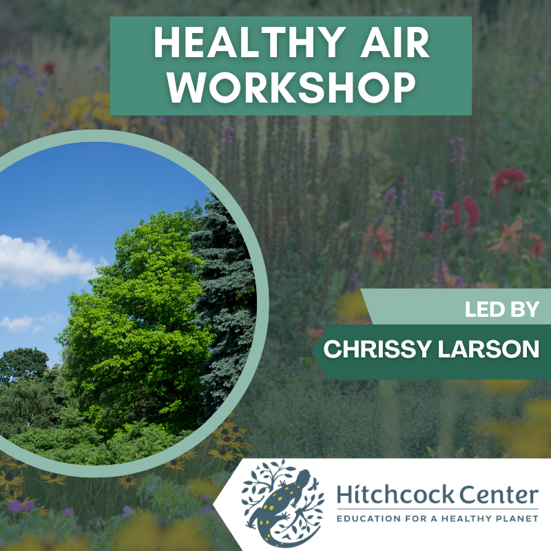 Healthy Air Workshop