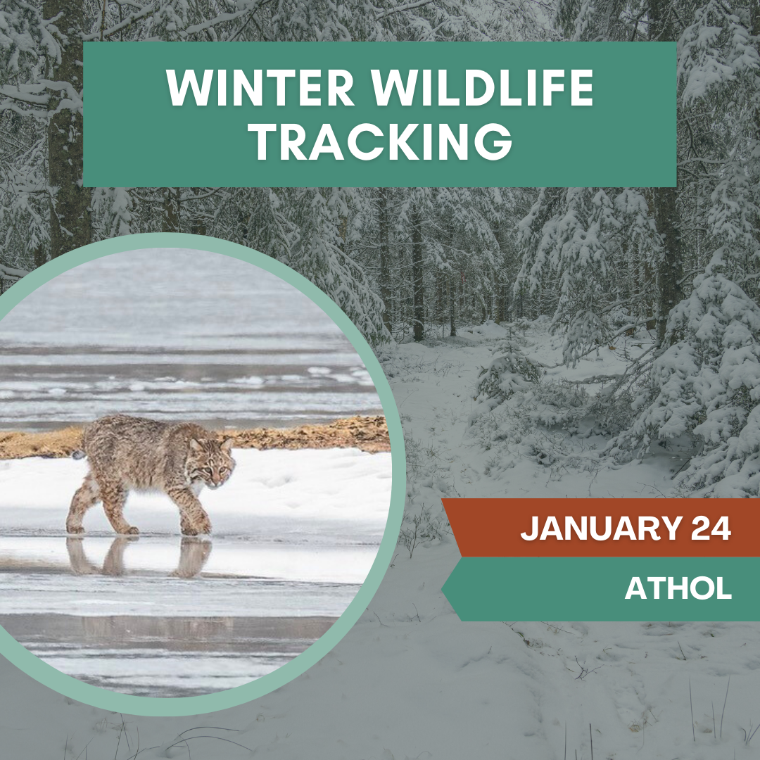Winter Wildlife Tracking With Paul Wanta
