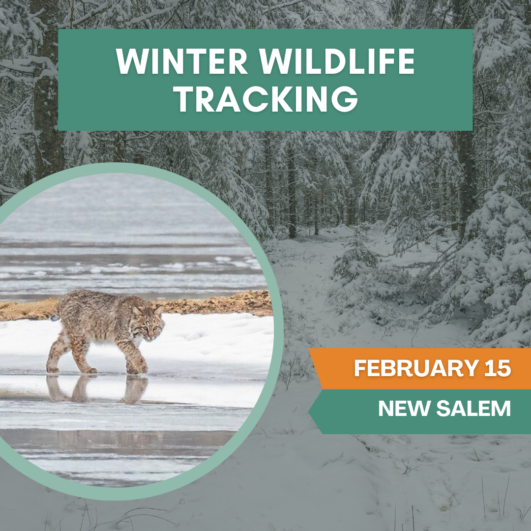Winter Wildlife Tracking With Paul Wanta
