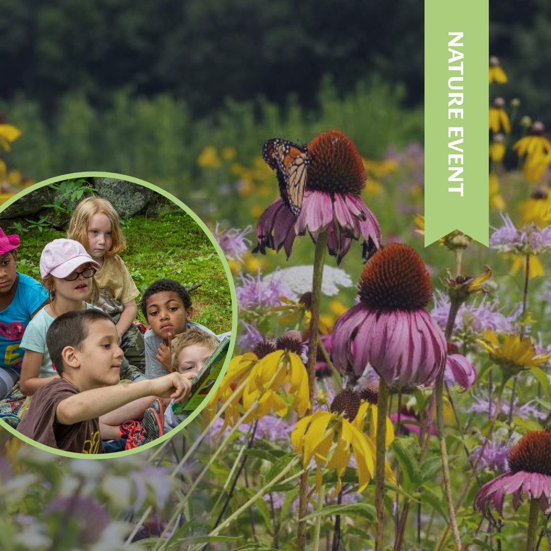 Pollinator Garden Arts & Exploration