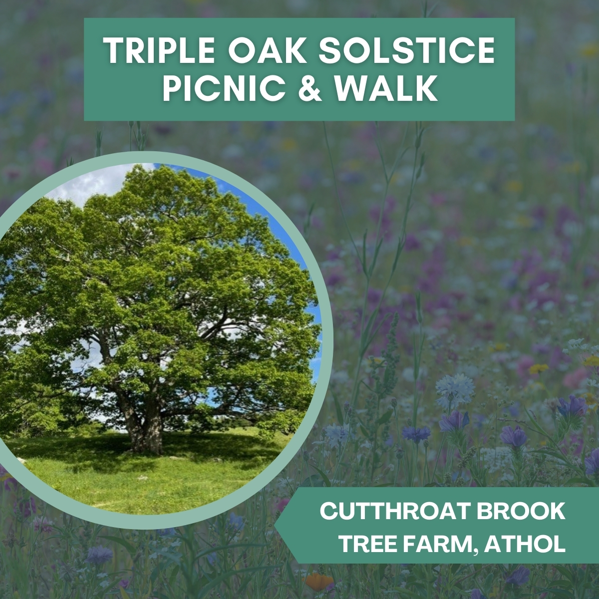 Triple Oak Tree Solstice Picnic & Walk